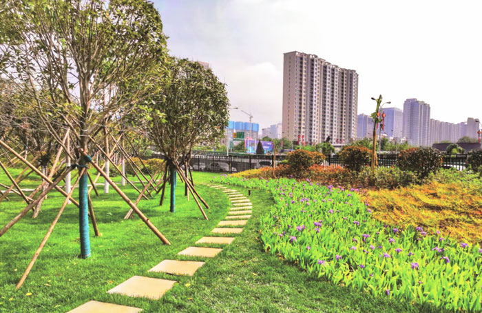 西安市长安路周边景观提升建设项目