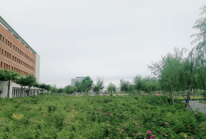 26.jpg