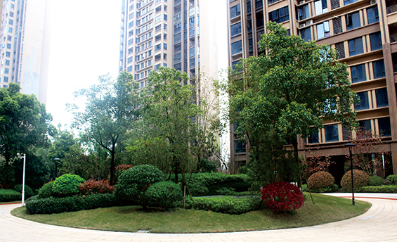 南昌市恒锦九龙湖绿化工程