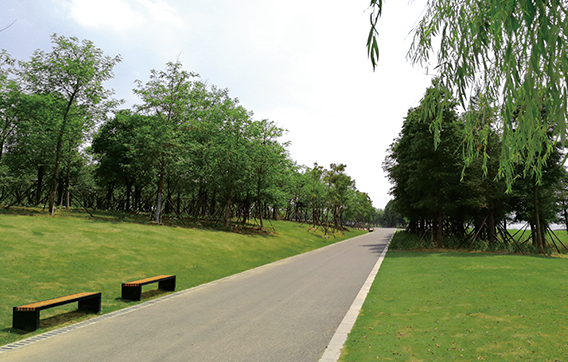 武当山郊野公园建设工程