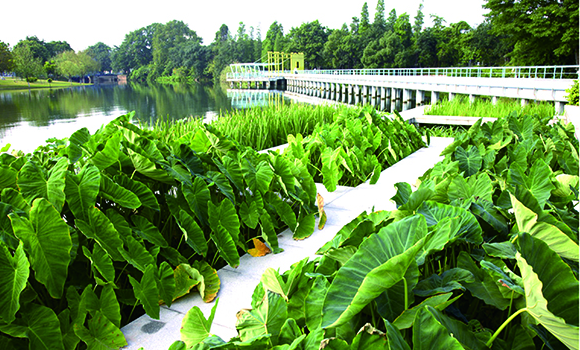 江西省宜春市北湖公园工程