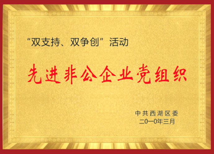 先进非公企业党组织